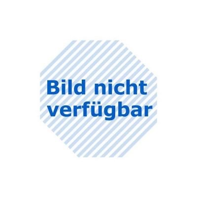 Preisvergleich Produktbild Ohrpolster für Sennheiser CX 500 in lamellenform, schwarz