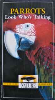 Preisvergleich Produktbild 21 Jump Street {This Ain't No Summer Camp (#5.7)} [VHS]