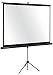 Produktbild Legamaster Rillen Economy Mobile, 4: 3 4: 3 schwarz, weiß Bildschirm Projektion – Monitore von Projektion (4: 3, Handbuch, 194 cm, 145,5 cm, 4: 3, schwarz, weiß)