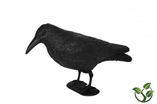 mgc24 6er-Set Taubenschreck Rabe »Lummy« - 2