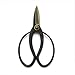 Produktbild Lychee Shears Gartenschere Topf Garten Lange Schere Bonsai Gartengeräte Y6014