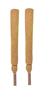 COIR GARDEN Coir Moss Stick For Plant Support, 61 cm, 2 Pieces