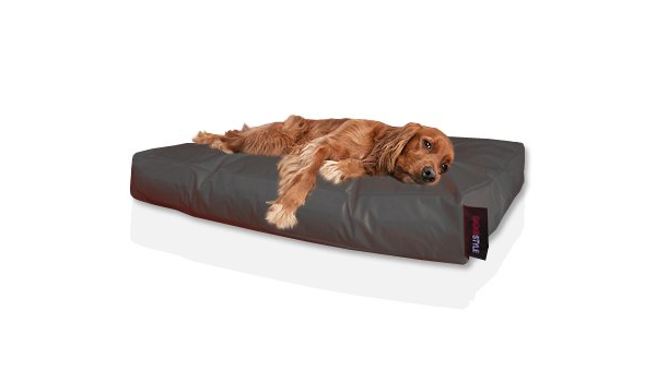 nylon dog bed