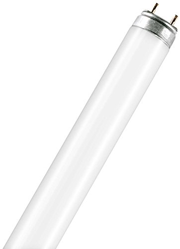 Leuchtstoflampe L 36 Watt 77 Fluora - Osram 36W