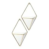 OPCIONES DE VERSáTIL PARA PARED O TABLILLA: está disponible como decoración de pared o escritorio, viene con instrucciones fáciles de seguir y puede usarse para guardar todo, desde áreas verdes hasta suministros de oficina