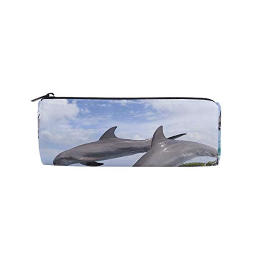 Pencil Pouch Kitten Stuffed Chair Cute Paws Zipit Cute Pencil Cases School Pen Organizer Holder Womens Makeup Bag