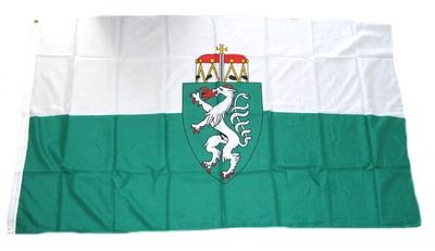 Fahne / Flagge Österreich - Steiermark NEU 90 x 150 cm