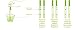 One Step® 80 x Ovulation Tests - Highly Sensitive Ovulation/Fertility Tests - 20miu/ml Strip Test