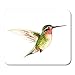 Produktbild AOCCK Gaming Mauspads, Gaming Mouse Pad Blue Bird Green Small Glossy Colibri Watercolor Pink Sketch Aerodynamic 11.8"x 9.8" Decor Office Nonslip Rubber Backing Mousepad Mouse Mat