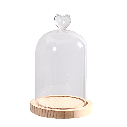 Gazechimp Glashaube Glasglocke Glassturz mit Holzboden Fairy Garten Terrarium Diy Landschaften Blumen Vase Haus Dekoration Herz - 4