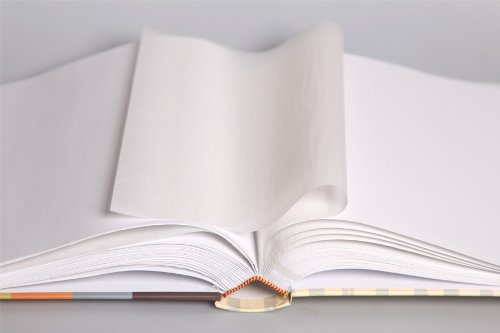 Tiere Fotoalbum in 30×30 cm 100 Seiten Babyalbum Jumbo Foto Album: Farbe: Gelb - 4