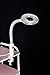 2in1 Desktop LED Magnifying Lamp + Adjust Temp DIGI FACIAL Ozone AROMA STEAMER
