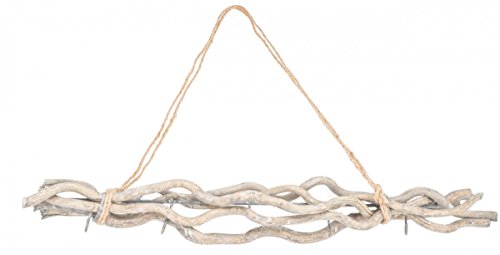 NaDeco® Maulbeeren Bündel ca. 50cm, mit 5 Haken und Sisal Kordel | Weidenbündel | Weiden Bündel | Deko Zweige mit Kordel | Deko Bündel | Fensterdekoration | Türdeko | Türhänger | Fensterdeko | Fensterhänger | Türhänger | Deckenkranz | Deko-Hänger | Windlicht-Hänger - 2