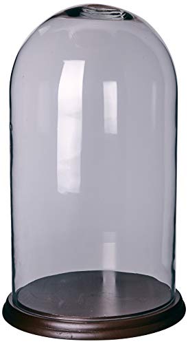 Better & Best Urna de Cristal Alta, Grande, con Base de Madera Negra, 29.00x29.00x47.00 cm