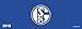 FC Schalke 04 2019 - Tischkalender, Notizkalender, Fankalender - 29,7 x 10,5 cm by