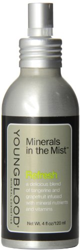 Youngblood Facial Treatment, Minerals In The Midst Refresh 0.2 oz