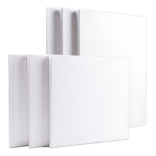 artdale 12 Pack Standard Edge 17 mm gerahmt blanko Pre gespannt Leinwände, dreifach grundiert weiß 20/30 cm quadratisch & 20 x 30/30 x 40 cm rechteckig Holz Rahmen 100% Baumwolle Student/Künstler Art Leinwand Öl Acryl & mehr - 4
