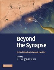 Beyond the Synapse: Cell-Cell Signaling in Synaptic Plasticity
