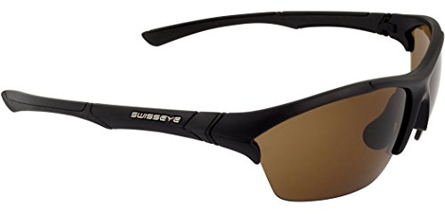 Preisvergleich Produktbild SWISS EYE Steam hydrophobic polarized