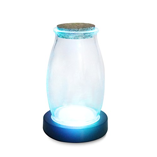 MYTK beleuchteter LED Flaschenuntersetzer als cooler Effekt für Partys und zur Dekoration (Nicht Wiederaufladbare Untersetzer)