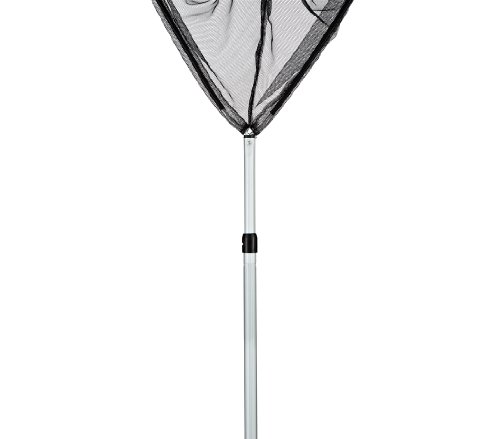 Dehner Teichkescher mit Teleskopstiel, dreieckig, 35 cm - 2