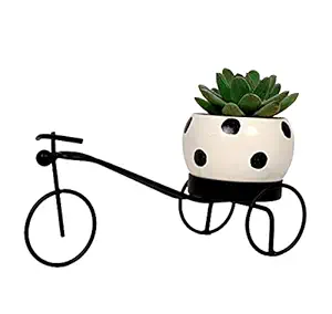 HINS Black Cycle Riksha With Dotted Metal Round Shape Flower Plant Pot For Indoor Plants (White, Small) Metal Pots For Indoor Plants I Elevated Garden Planter I Raised Planter I Pots I Desk Plant I Raised Planter Box I Ascent Homes Metal Planter I Raised Planter Box With Legs I Brass Pots For Indoor Plants I Golden Planter I Mid Century Plant Stand I Brass Planters For Indoor Plants I Indoor Plant Stand For Living Room I Metal Planters Pot For Indoor Plants des