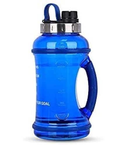 Gasflaschen-Wandhalterung Für 1x 10-Liter-Flasche, Ø Max. 140 Mm, Verzinkt, Mit Sicherungskette, Für Labore Und Praxen