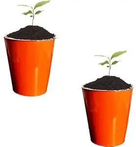 Decorscent Metal Iron Flower Pot - Set of 2