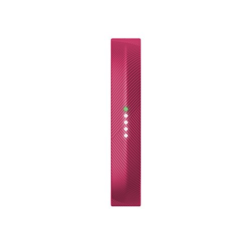 Preisvergleich Produktbild Fitbit Flex 2 Magenta