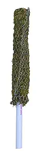 PlantaZee Moss Stick - Coir Stick for Indoor, House and Plant Creepers Support 5 Ft Pack of 1