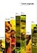 7 Short Originals ( Taxi til Båtsfjord / Hurra for Mamma / Skårungen / Varde / Lille Fr?/ Betydningen / Opptur ) ( Taxi to Nowhere / Celebrating Mum / T [ NON-USA FORMAT, PAL, Reg.0 Import - Norway ] by Reidar Sørensen