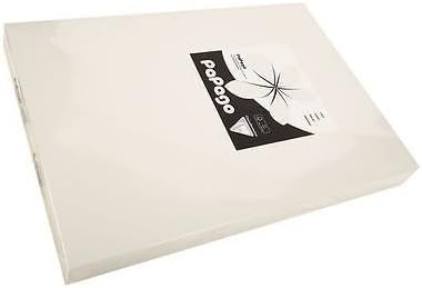 160 GSM A4 PAPAGO Printer Copier Paper 1 Ream of 250 Sheets - Steel Grey