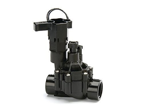 Rain Bird Magnetventil 100-DVF, 1" IG mit Durchflussregulierung