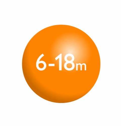 Avent SCF170/22 Beruhigungssauger, 6-18 Monaten farblich sortiert, Farbe nicht wählbar - 4