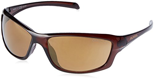 Alpina Sonnenbrille Amition Dyfer Outdoorsport-Brille