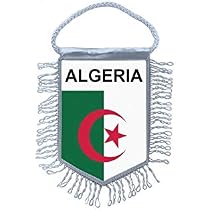 Mini Fanion / Drapeau France Lacanau Pour Voiture - Décoration