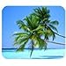 Produktbild Tropical Hawaii Beach Palm Tree Sommer, Sonne Mini Design Gaming Maus Pad Rechteck Mauspad