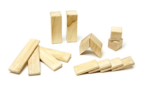 Tegu Magnetic Wooden Block Set (14-Piece, Natural)