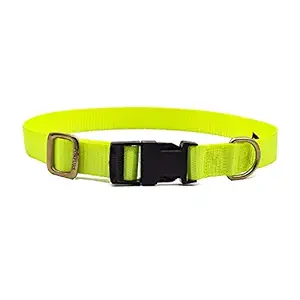 PSK Dog Classic Snap Collar (L, Lime Green)