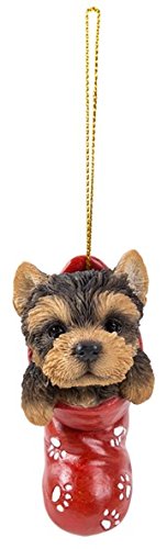 Hanging Christmas Stocking Pet Pals Vivid Arts- Colgante de Navidad Calcetín Mascotas Pals- Yorkshire Terrier