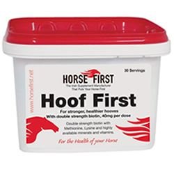 Horse-First-Hoof-First
