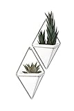 ATTRAKTIVES MODERNES GEOMETRISCHES DESIGN: Das von Moe Takemura für Umbra entworfene Trigg ist das originale geometrische Wandschiff mit einem einfachen, eleganten Design, das Ihrem Innenraum eine moderne dekorative Note und ein wenig natürliches Grün verleihen kann