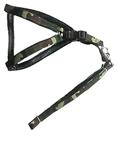 Jainsons Pet Products? Strong Durable Dog Harness with Leash 0.75 Inch Wide, Nylon Camouflage Dog Leash with Harness for Small Medium Dogs (0.75 Inch)
