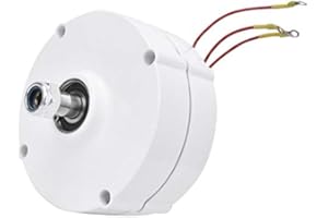 Walfront Moteur Synchrone 12 V 100 W Générateur d'Aimant Permanent Eolienne, Alternateur Synchrone 3 Phases NE-100 Blanc pour Industrielle (Générateur)