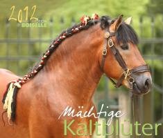 Mächtiges Kaltblut 2012: Mächtige Pferde