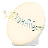 Sad Lamp, Sunlight Lamp 10000 Lux Round Light Therapy Lamp With 10 Brightness Levels & Stepless Dimming, 10 Types Of White Noise, 6 Timer Settings, Led Portable Daylight Lamp For Home/office, White