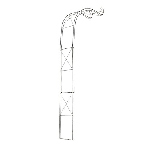 CLP Halbbogen, Rosenbogen EDOARDO halbrund, Eisen, Wand-Rankhilfe Durchganghöhe/-breite: 330 cm / 116 cm antik weiß - 2