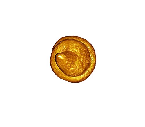 Das goldene Stück Scheiße No.2, geschmeidiger Haufen, goldene Scheisse, goldener Scheißhaufen, Kacke in gold ! Briefbeschwerer, Auszeichnung, etc., Handarbeit ! inkl. kostenlosem Aufbewahrungsbeutel aus Samt (schwarz/gold) !! - 4