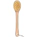 Hydrea London Professional Body Brush With Catus Bristles WBP133S-HD