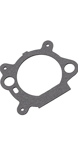 Briggs & Stratton Luftfilter Dichtung